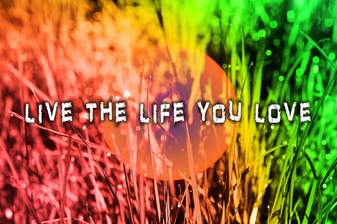 Live the life you love
